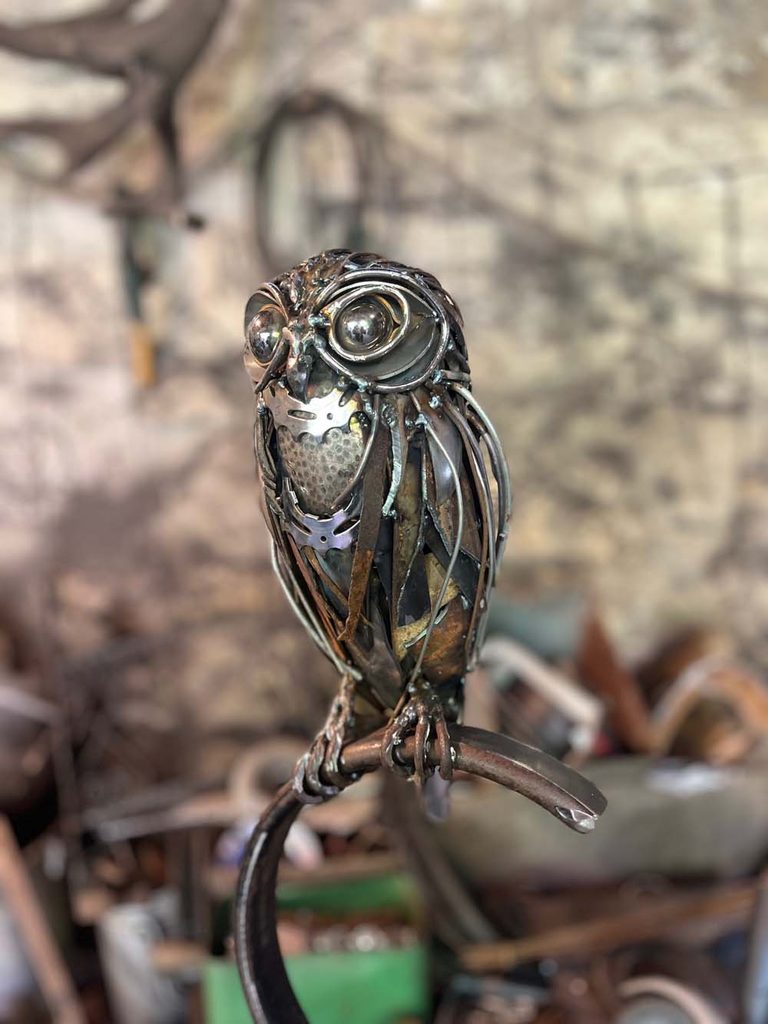 Taxidermistes Ferrugineux